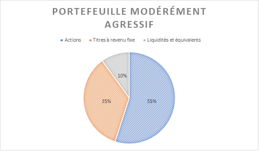 Investisseur modérément agressif